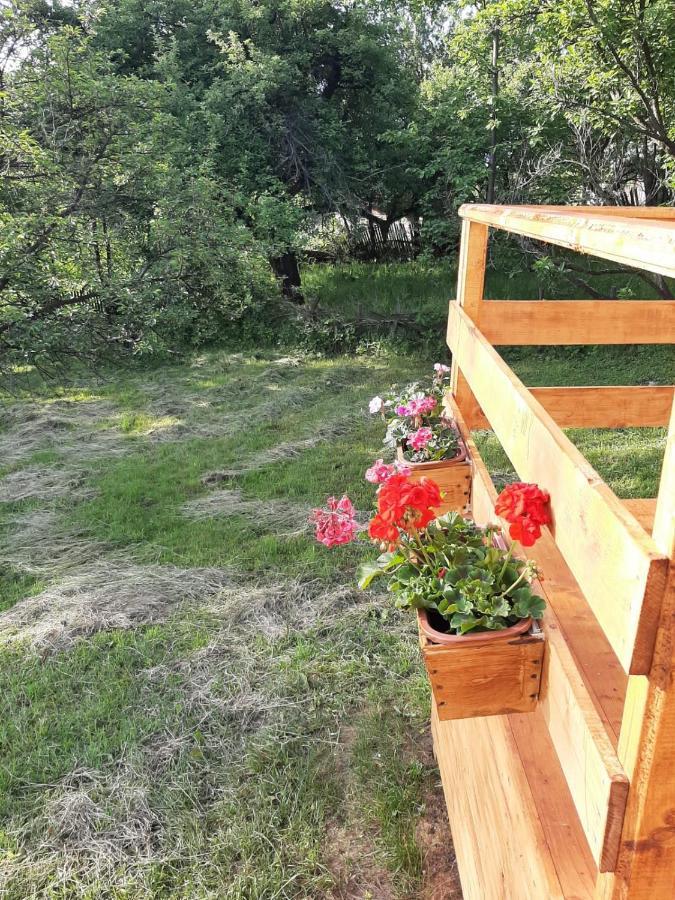 Cabana Din Livada Pucioasa Ngoại thất bức ảnh